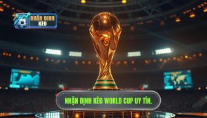 Nhận định kèo World Cup uy tín