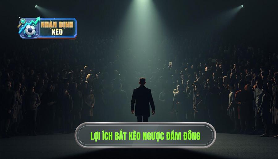 Tại sao kinh nghiệm bắt kèo ngược đám đông lại quan trọng?