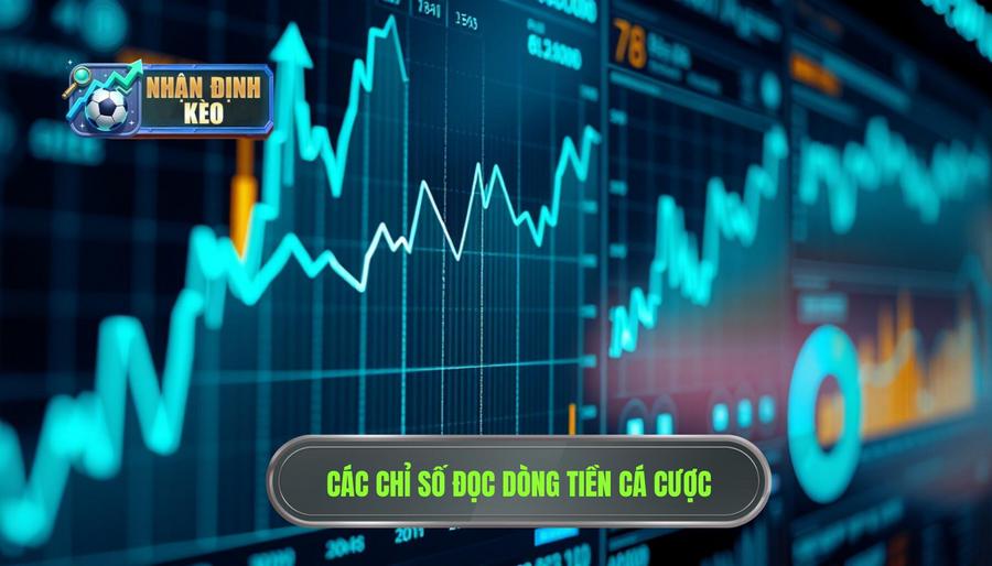 Các chỉ số quan trọng trong cách đọc dòng tiền cá cược