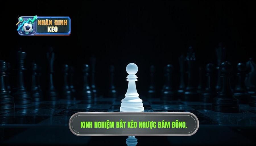 Những kinh nghiệm bắt kèo ngược đám đông thực chiến