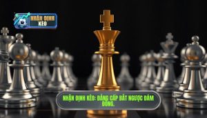 Kinh nghiệm bắt kèo ngược đám đông: Bí quyết thắng lớn từ Nhà Cái